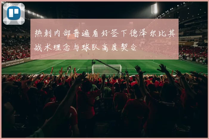 热刺内部普遍看好签下德泽尔比其战术理念与球队高度契合